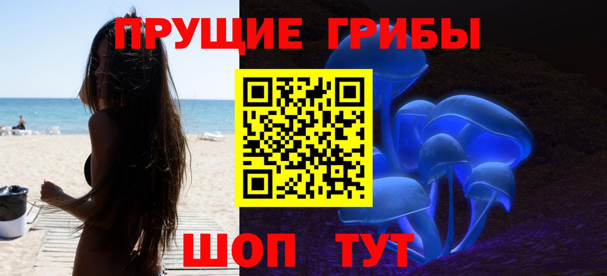 Псилоцибиновые грибы Cubensis  Галлюциногенные грибы Cubensis  Вход с VPN  закладки  Нижнеудинск 
